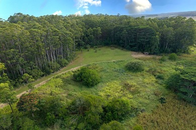 Beach Acreage For Sale in Papaikou, Hawaii