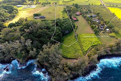 Beach Acreage For Sale in Pepeekeo, Hawaii