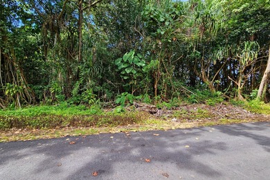 Beach Lot For Sale in Pahoa, Hawaii