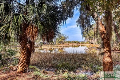 Beach Lot For Sale in Savannah, Georgia