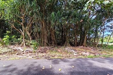 Beach Lot For Sale in Pahoa, Hawaii