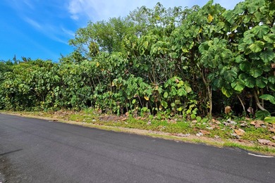 Beach Lot For Sale in Pahoa, Hawaii