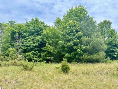 Beach Lot For Sale in Frankfort, Michigan