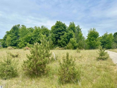 Beach Lot For Sale in Frankfort, Michigan