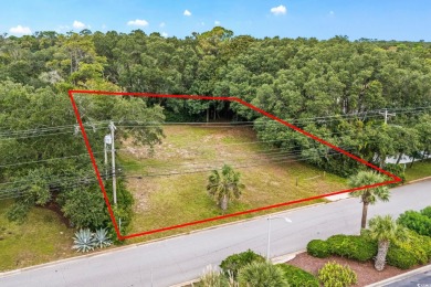 Beach Lot For Sale in Myrtle Beach, South Carolina