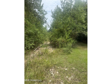 Beach Lot For Sale in Waveland, Mississippi