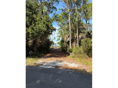 Beach Lot For Sale in St. George Island, Florida