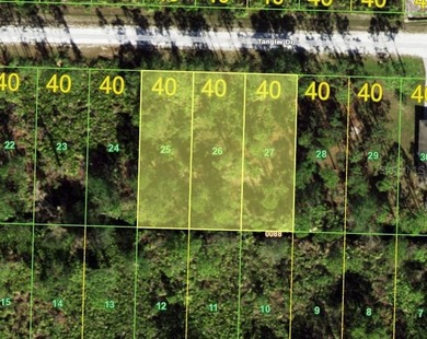 Beach Lot For Sale in Punta Gorda, Florida