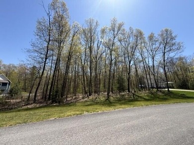 Beach Lot Sale Pending in Whitehall, Michigan