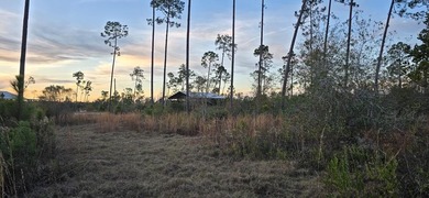 Beach Acreage For Sale in Wewahitchka, Florida