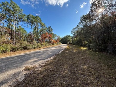Beach Lot For Sale in Carabelle, Florida