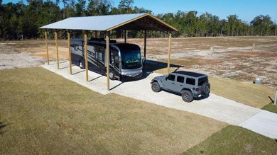 Beach Lot For Sale in Wewahitchka, Florida