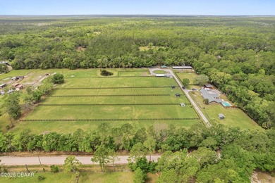 Beach Home For Sale in Port Orange, Florida