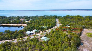 Beach Lot For Sale in Eastpoint, Florida
