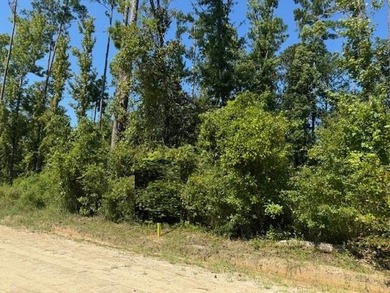 Beach Lot For Sale in Wewahitchka, Florida