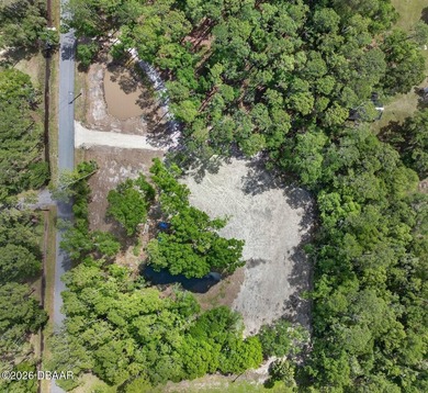 Beach Acreage For Sale in Port Orange, Florida