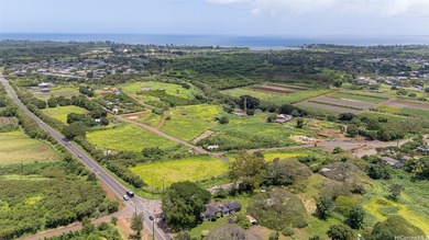 Beach Acreage For Sale in Waialua, Hawaii