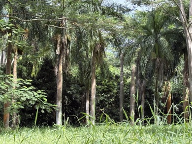 Beach Lot For Sale in Kilauea, Hawaii