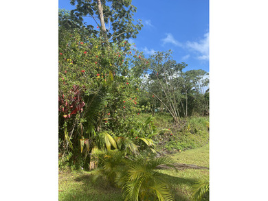 Beach Lot Active Under Contract in Pahoa, Hawaii