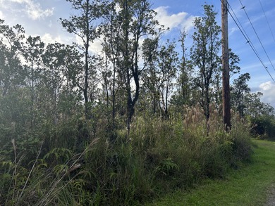 Beach Acreage For Sale in Volcano, Hawaii