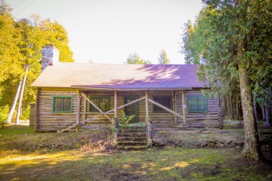 Beach Home For Sale in Mackinac Island, Michigan