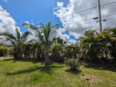 Beach Lot For Sale in Pahoa, Hawaii