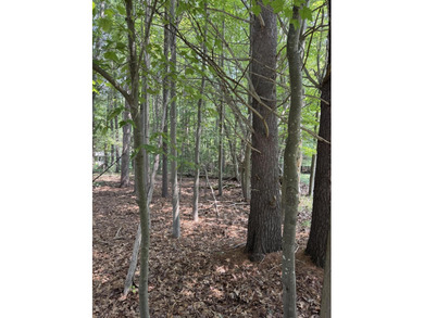 Beach Lot For Sale in Pentwater, Michigan