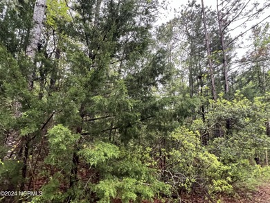 Beach Lot For Sale in Supply, North Carolina