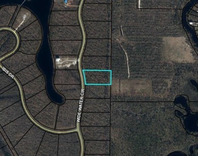 Beach Lot For Sale in Wewahitchka, Florida
