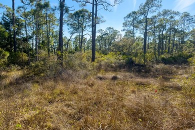 Beach Lot For Sale in St. George Island, Florida