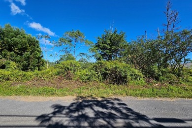 Beach Acreage Active Under Contract in Kurtistown, Hawaii