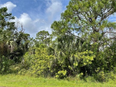 Beach Lot For Sale in North Port, Florida