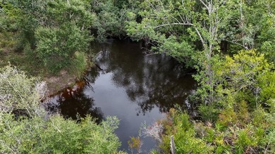 Beach Acreage For Sale in Wewahitchka, Florida