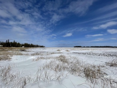 Beach Acreage For Sale in De Tour, Michigan