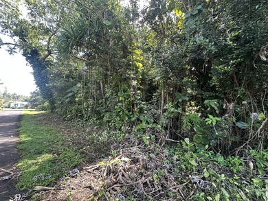 Beach Lot For Sale in Pahoa, Hawaii