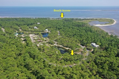 Beach Lot For Sale in Sopchoppy, Florida
