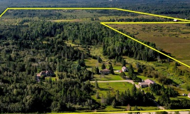 Beach Home For Sale in Hessel, Michigan