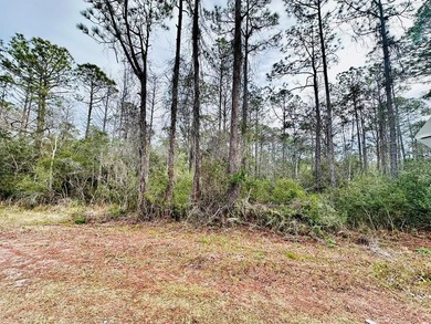 Beach Acreage For Sale in Carabelle, Florida