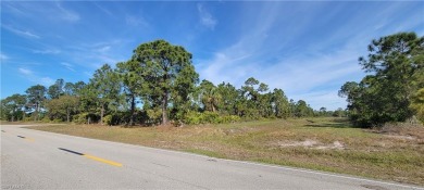 Beach Lot For Sale in Lehigh Acres, Florida