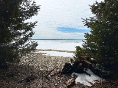Beach Lot For Sale in Saint Ignace, Michigan