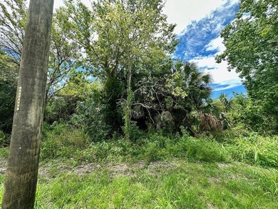 Beach Lot For Sale in Apalachicola, Florida