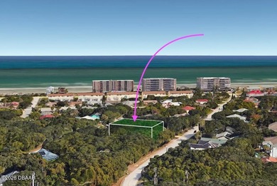 Beach Lot For Sale in Ponce Inlet, Florida
