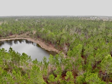 Beach Lot For Sale in Wewahitchka, Florida