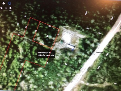 Beach Lot For Sale in Bois Blanc Island, Michigan