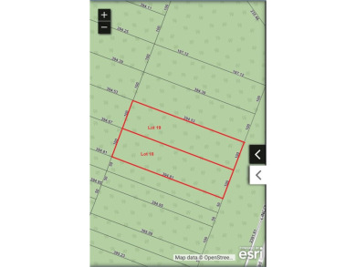 Beach Lot For Sale in Bois Blanc Island, Michigan