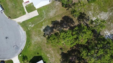 Beach Lot For Sale in Port St Joe, Florida