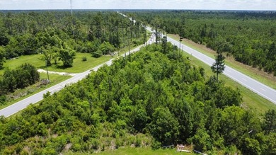 Beach Lot For Sale in Wewahitchka, Florida