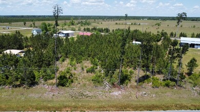 Beach Lot For Sale in Wewahitchka, Florida