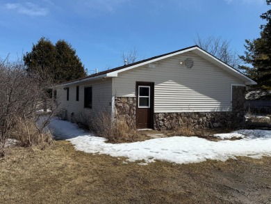 Beach Home For Sale in Hessel, Michigan