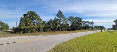 Beach Lot For Sale in Lehigh Acres, Florida
